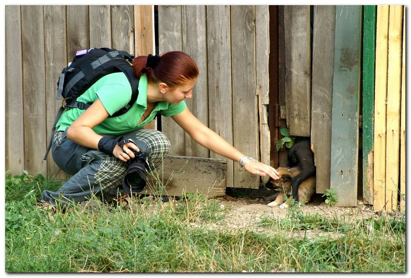 portet-de-alex-ds-27