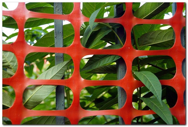 saptamana-xxviii_007