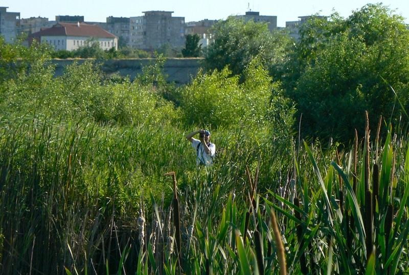 cristin-dumitru-de-cristinad