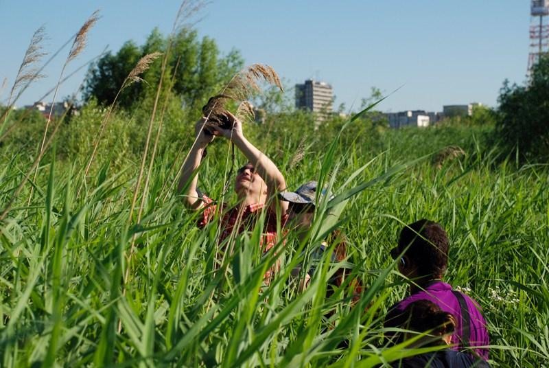 grup-3-de-cristin-dumitru