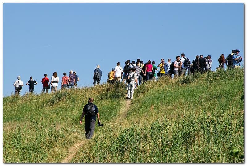 portret-de-alex-ds-12