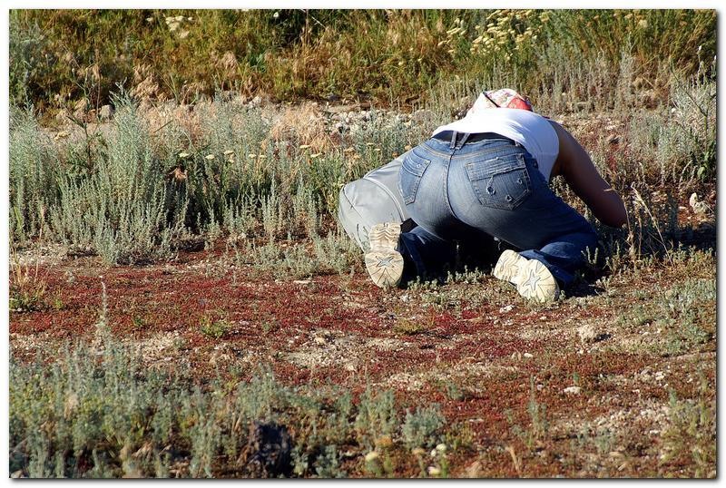 portret-de-alex-ds-17