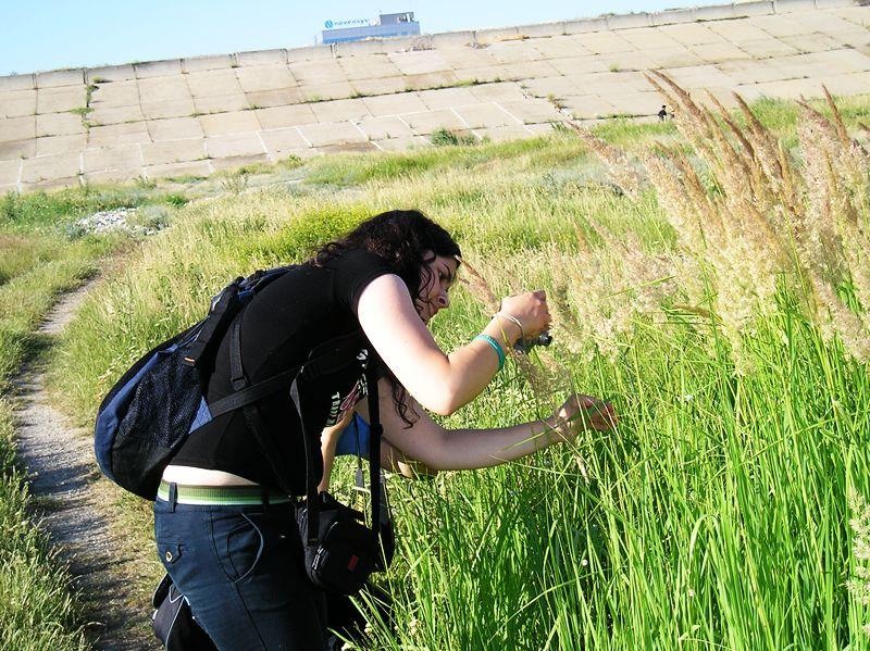 portret-de-constanta-6