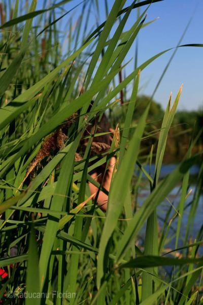 portret-de-florian-r