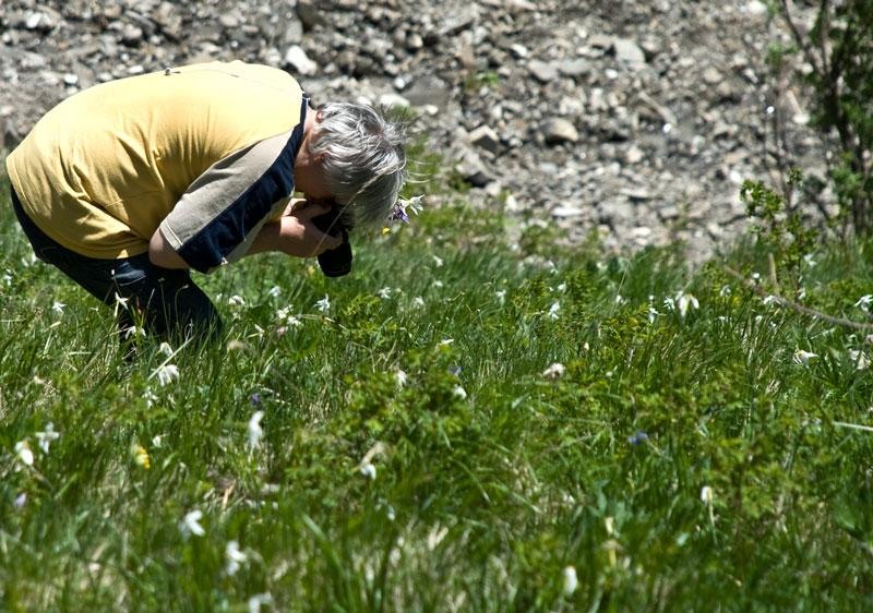 cristi-nyaguly-3-de-ion-p