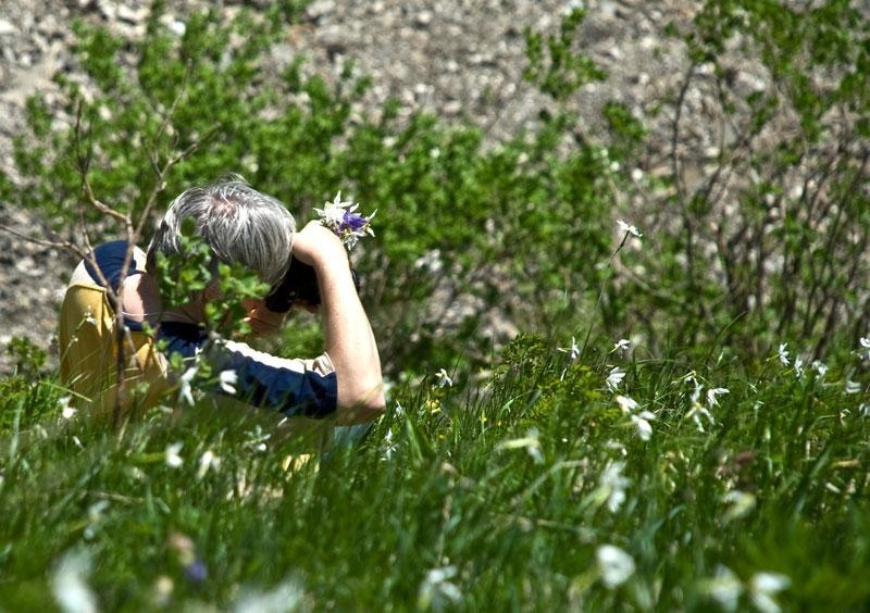 cristi-nyaguly-4-de-ion-p