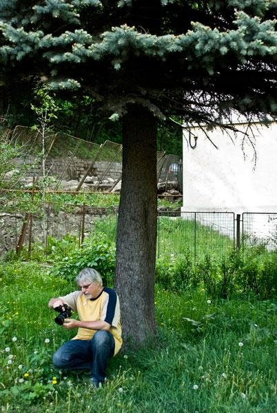 cristi-nyaguly-5-de-ion-p