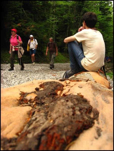 cristian-baluta-de-ana-maria-neacsa