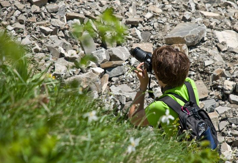 cristina-dumitru-de-ion-p