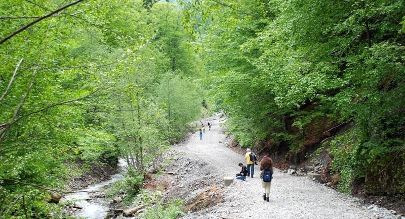 grup-de-cristina-dumitru