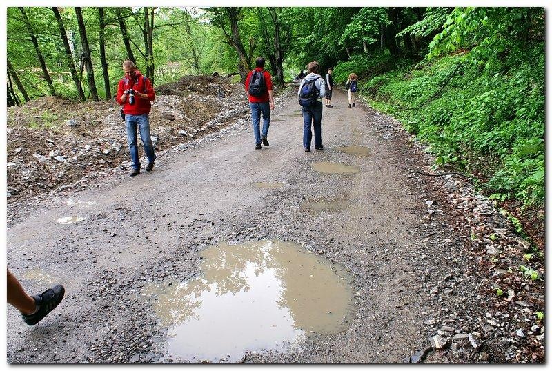 portret-de-alex-ds-2