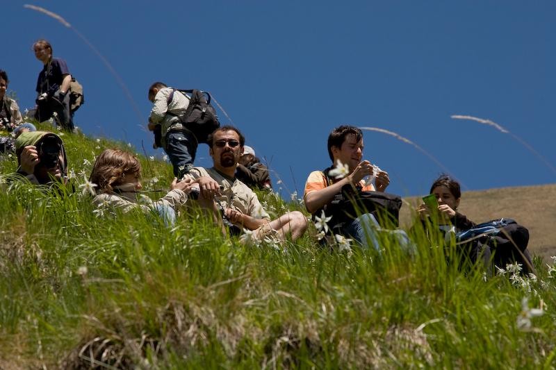 portret-de-dan-sendroiu-4