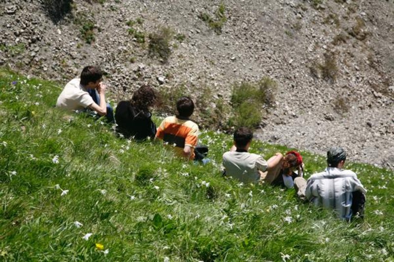 portret-de-laurentiu-t-7