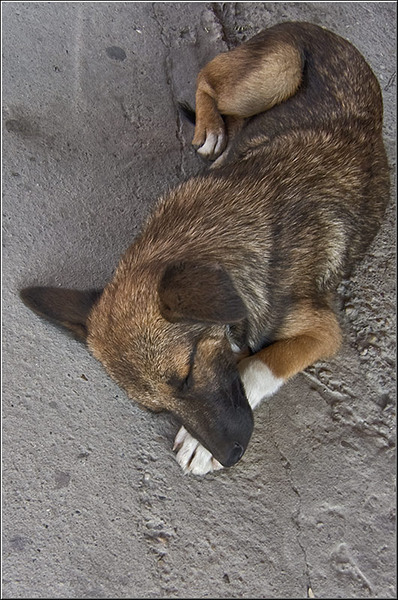 serban-vornicu_dobrogea_i-azi_04