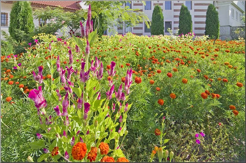 serban-vornicu_dobrogea_i-azi_06