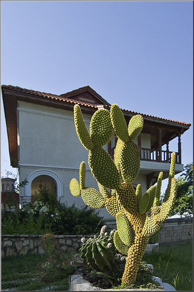 serban-vornicu_dobrogea_i-azi_12