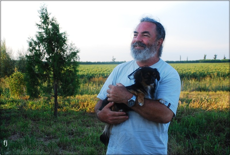 28-roberto-salvatorul-de-catei