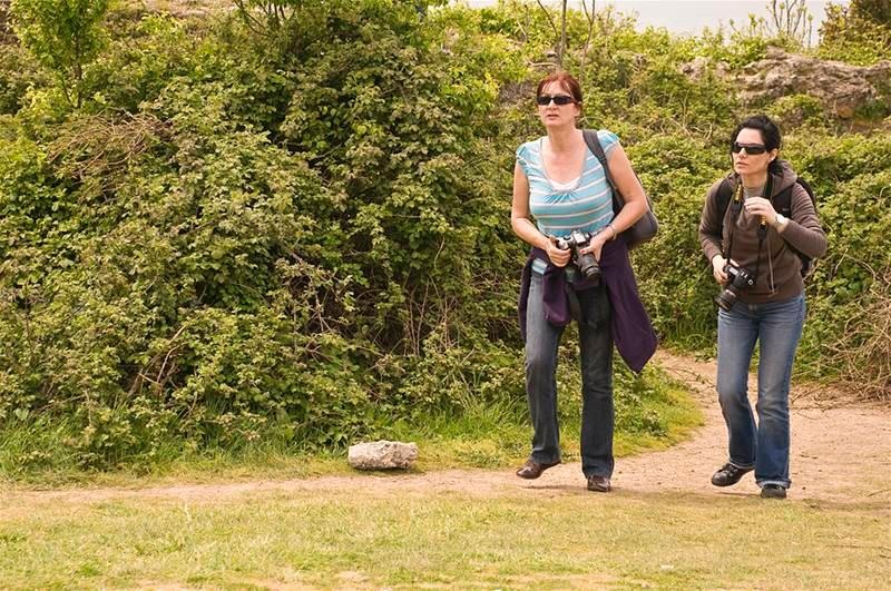 echipa04-de-andrei-pascu