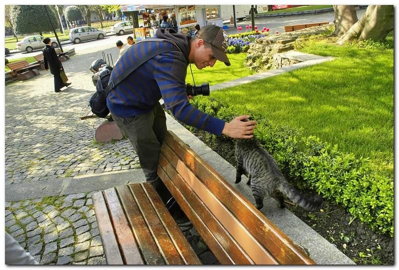 portrete-de-alex-dinus-45