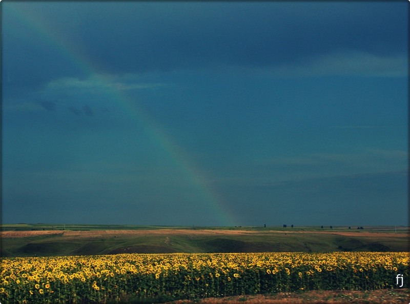 30-un-curcubeu-vazut-din-autocar
