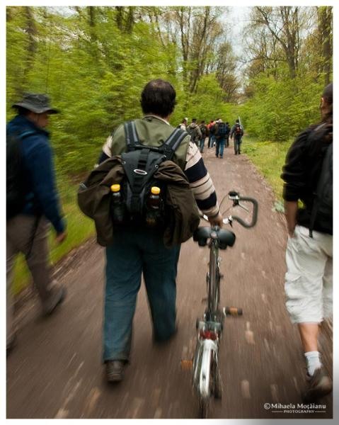 dinu-l2-de-mihaela-m