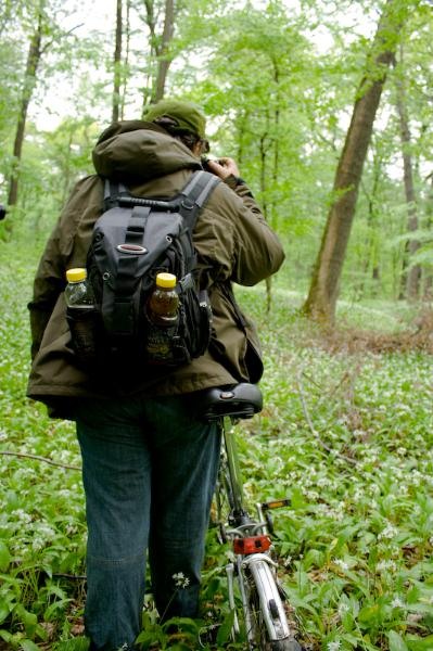 dinu-lazar-1-de-dan-sendroiu