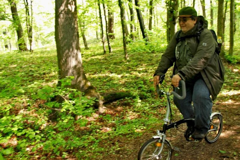 dinu-lazar-de-alex-ivan