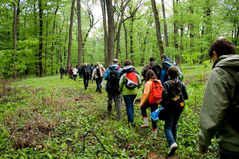 grup-1-de-dan-sendroiu