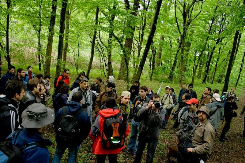 grup-2-de-dan-sendroiu