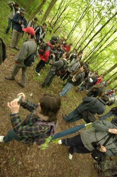 grup-de-andrei-cmp-3