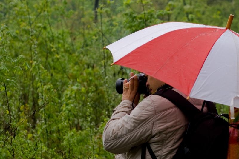 portret-1-de-dan-sendroiu