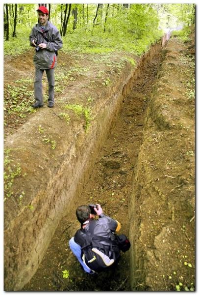 portret-de-alex-ds-14