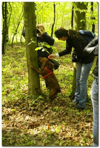 portret-de-alex-ds-23