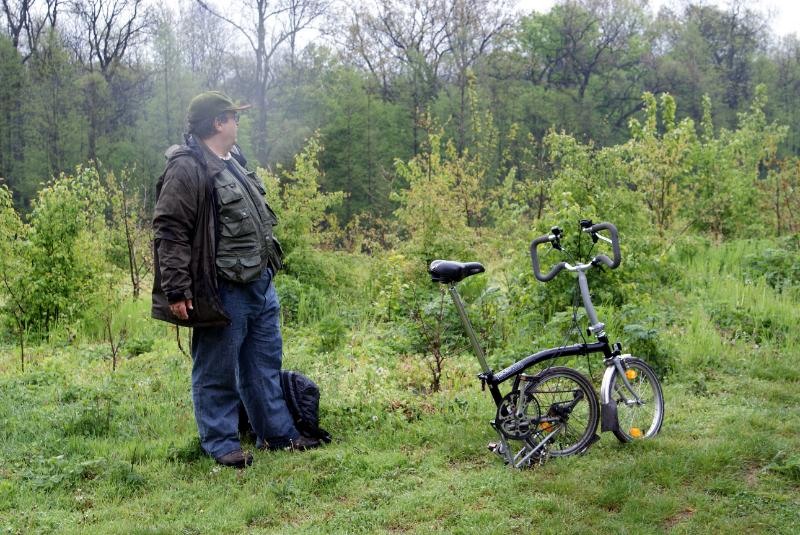 portret-de-andrei-d-2