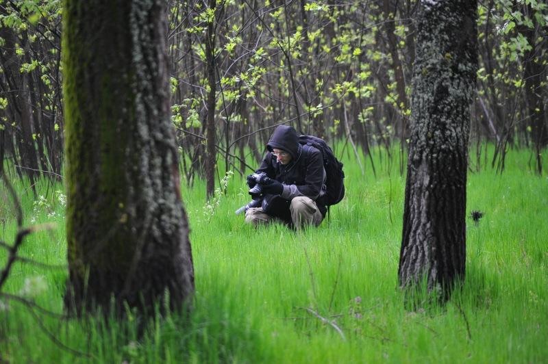 portret-de-dan-pop-2