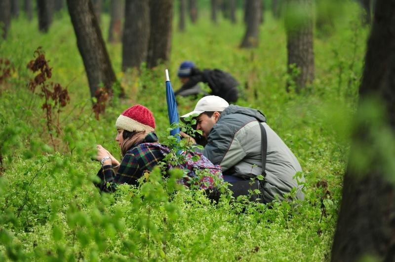 portret-de-dan-pop-4