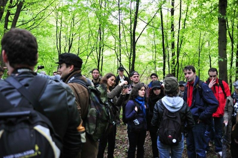 portret-de-dan-pop-5