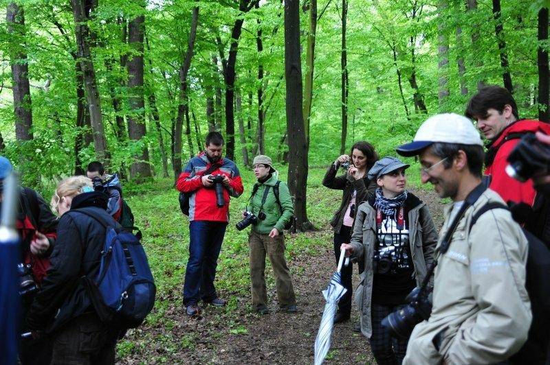 portret-de-dan-pop-6