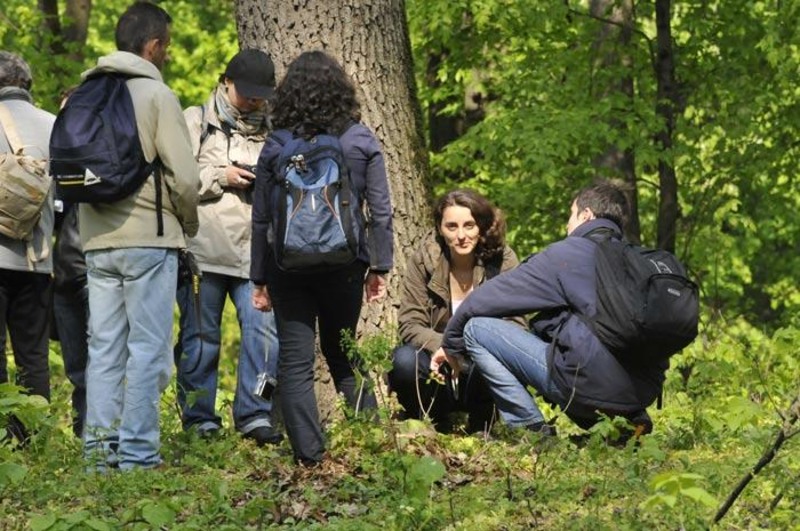 portret-de-dungha-18