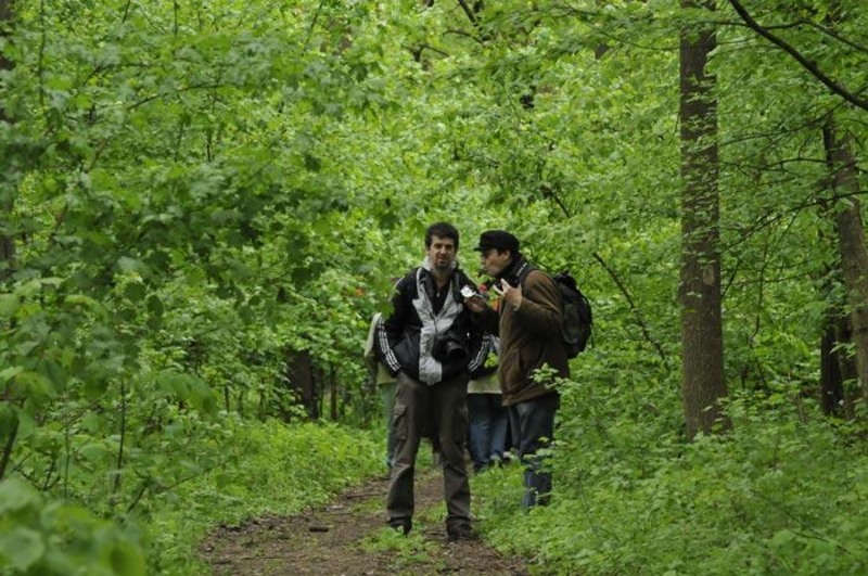 portret-de-dungha-20