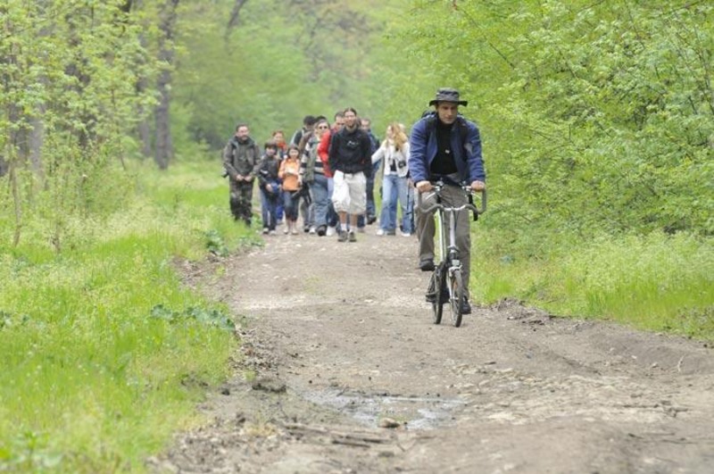 portret-de-dungha-22