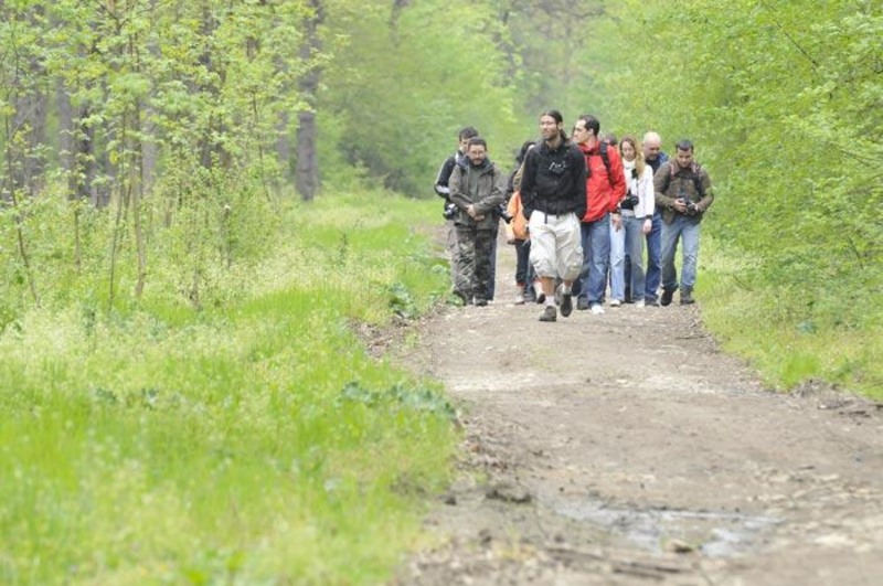 portret-de-dungha-23