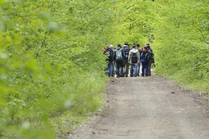 portret-de-dungha-24