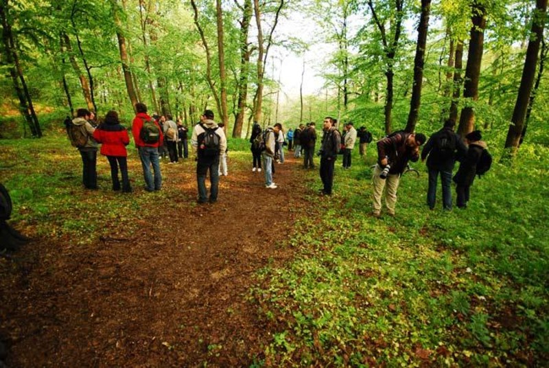 portret-de-dungha-25