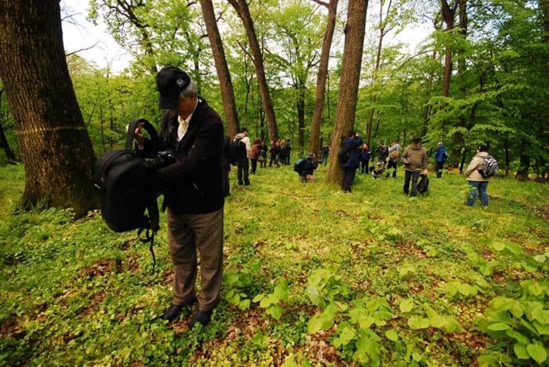 portret-de-dungha-27