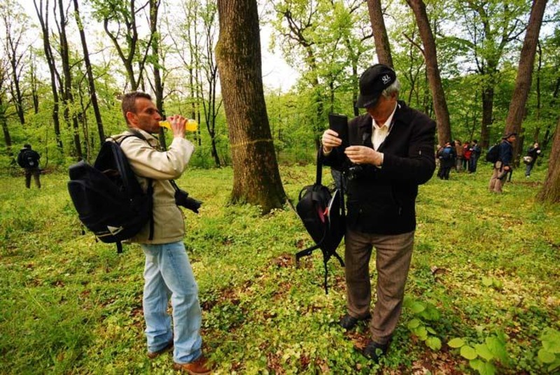 portret-de-dungha-28