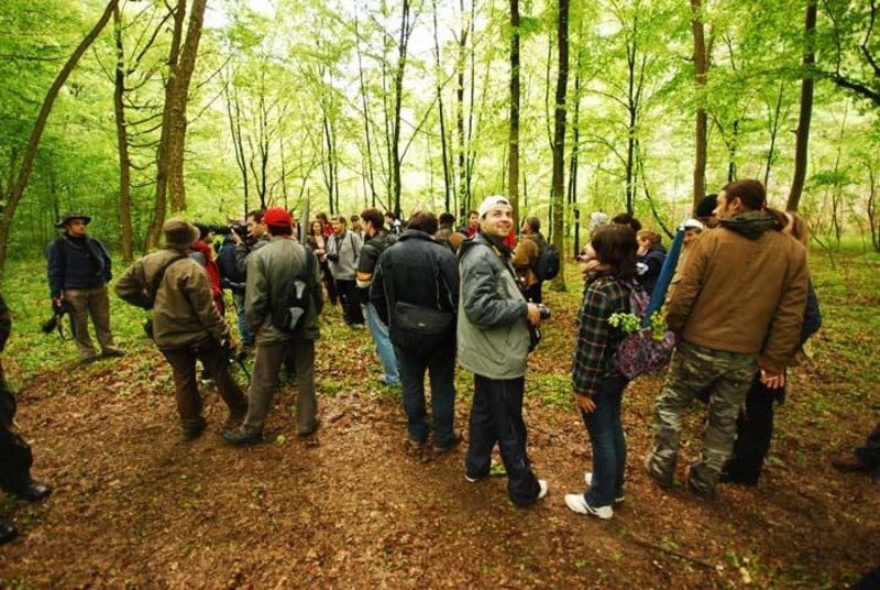 portret-de-dungha-29