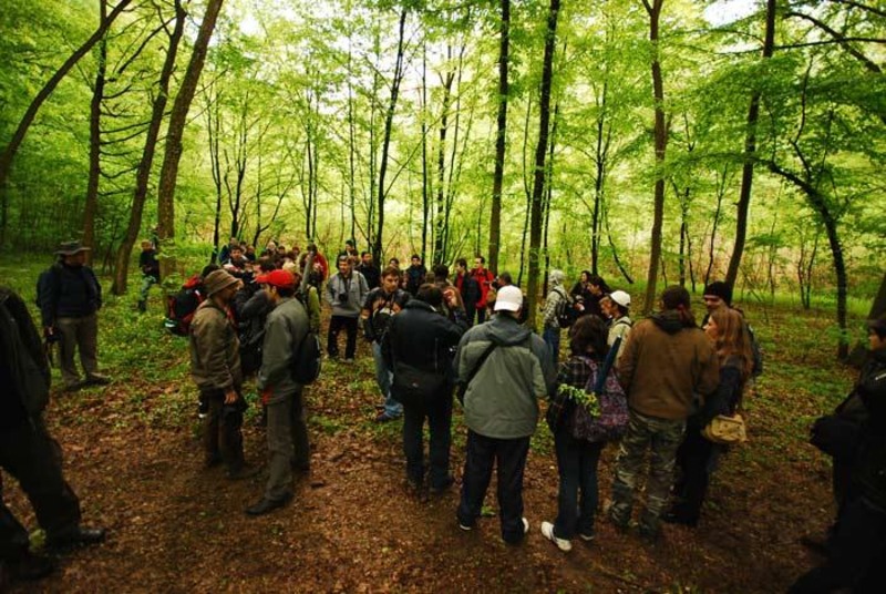 portret-de-dungha-30