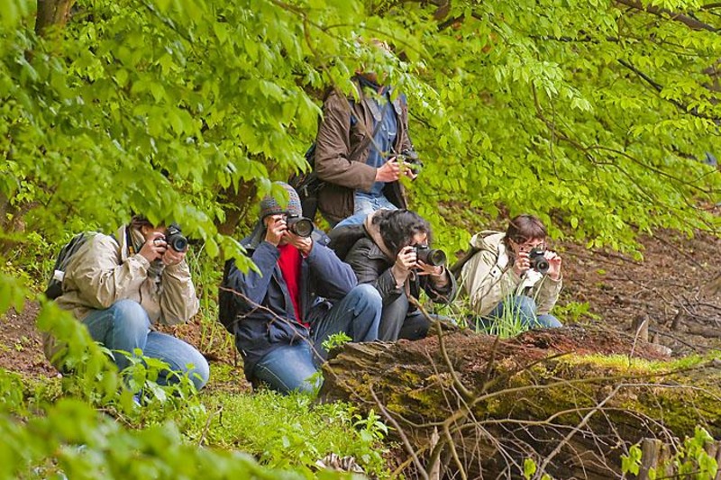 portret-de-marcel-e-6