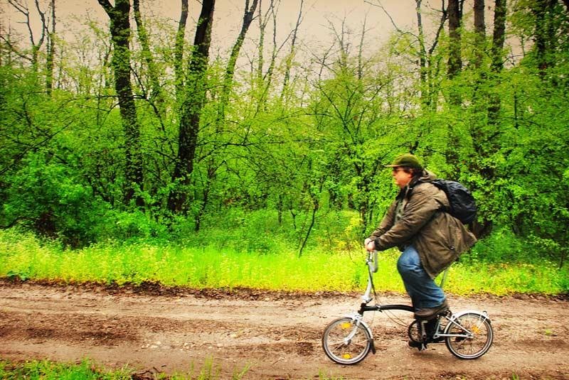 portret-de-marius-g-2